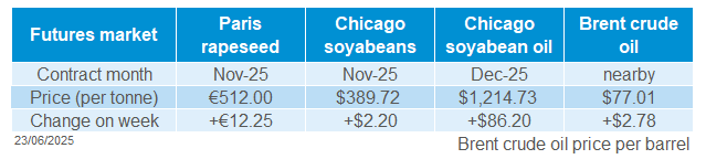 global oilseeds 23 06 202572